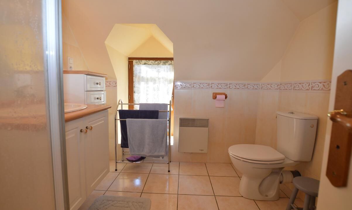 Photo of Bathroom in Erce-pres-Liffre