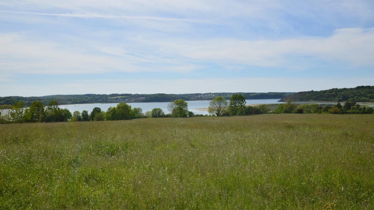 Photo of Outdoor in La Ville-es-Nonais