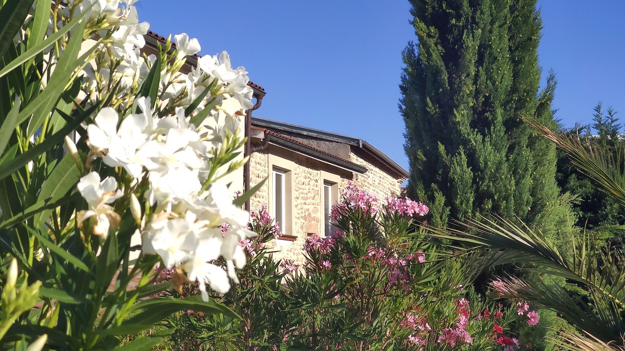 Photo of Outdoor in Herpieux