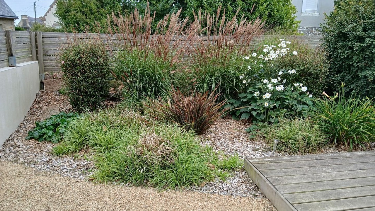 Photo of Outdoor in Trebeurden