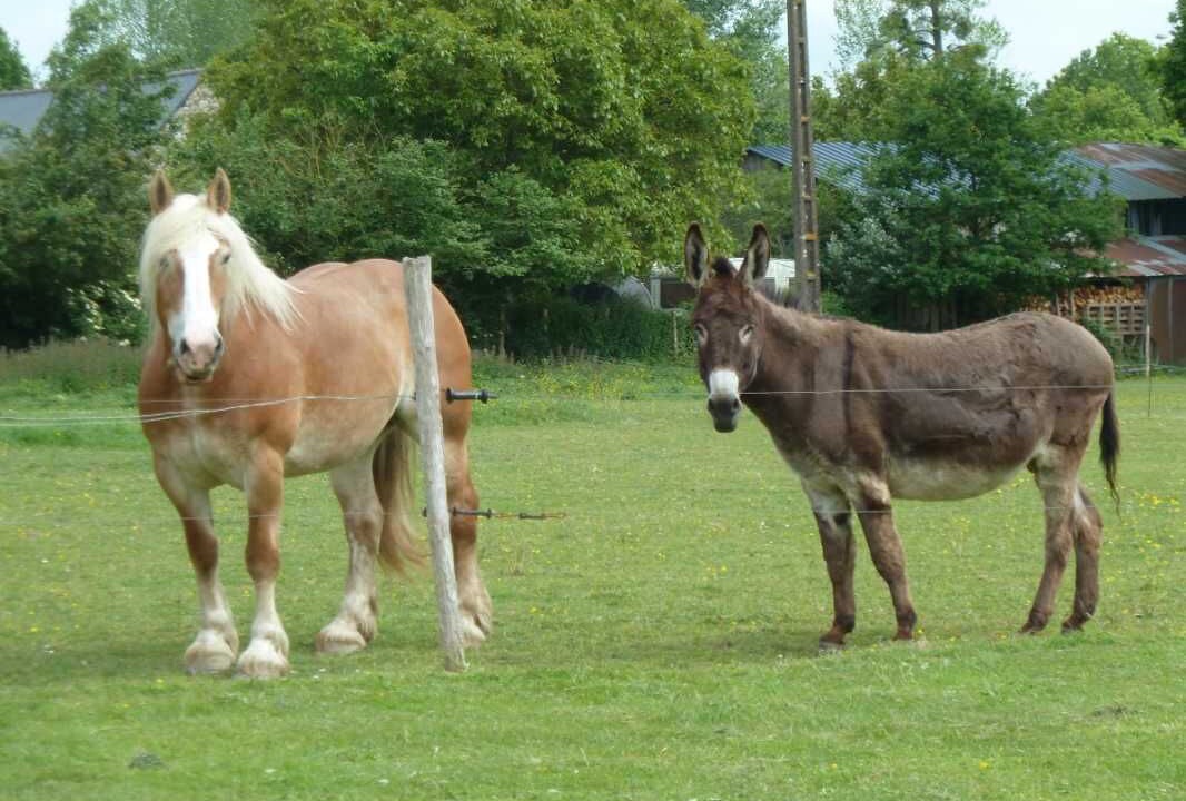 Photo of Others in Yvignac-la-Tour