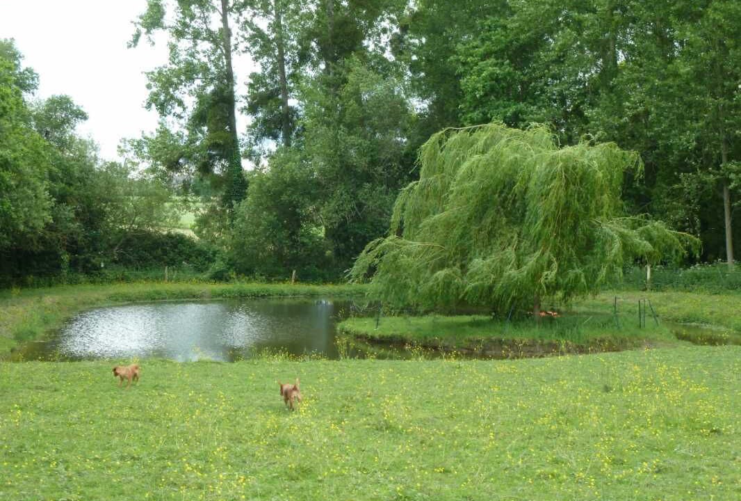 Photo of Outdoor in Yvignac-la-Tour