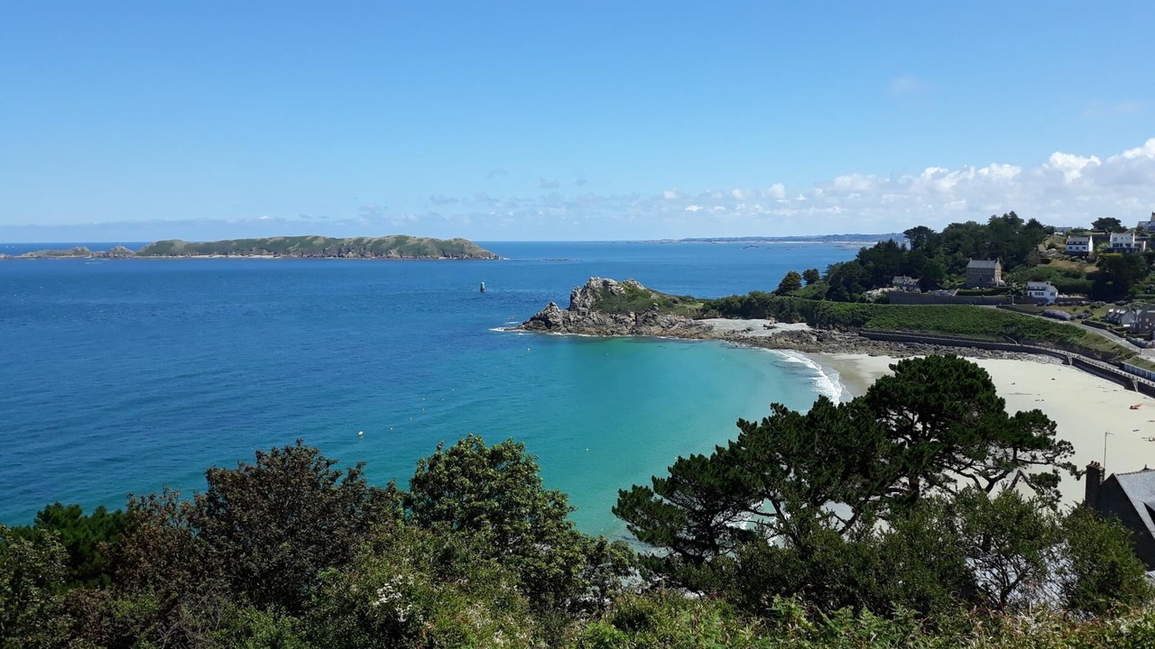 Photo of Others in Cite