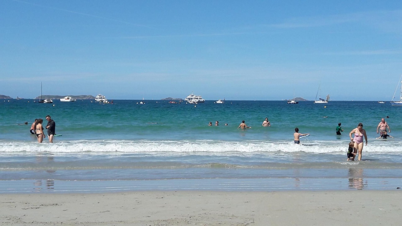 Photo of Others in Cite