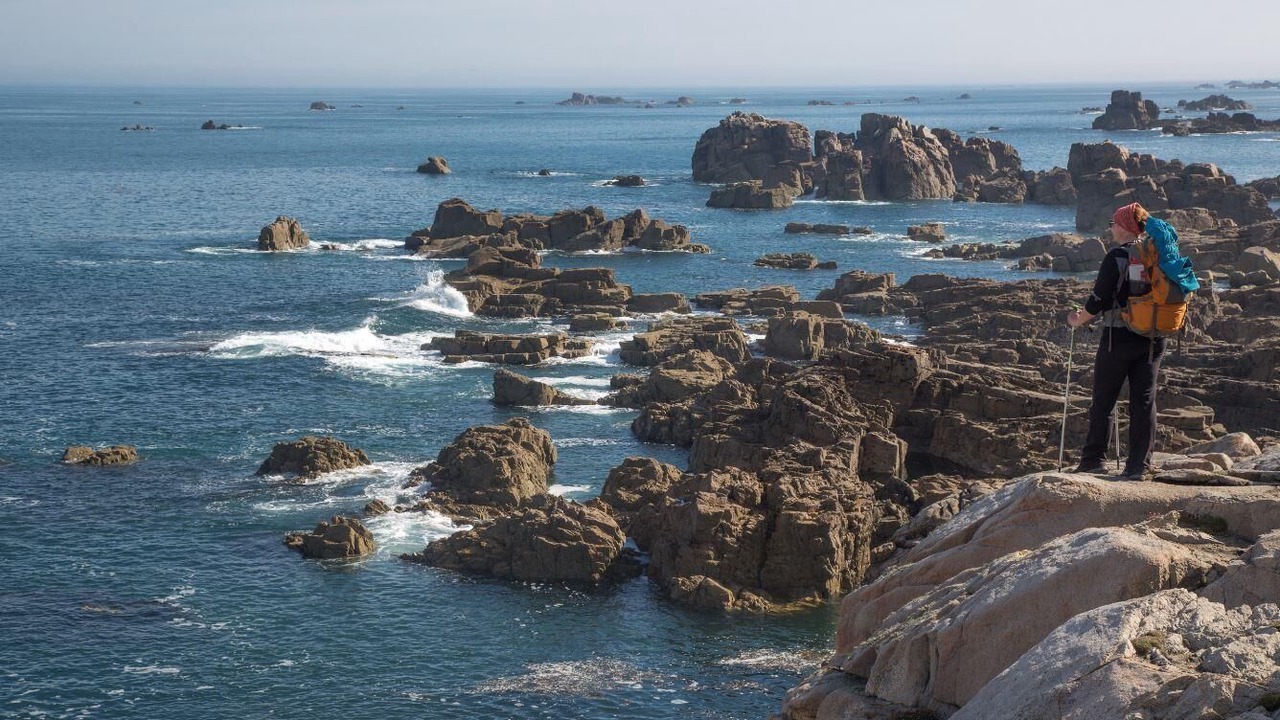 Photo of Others in Cite