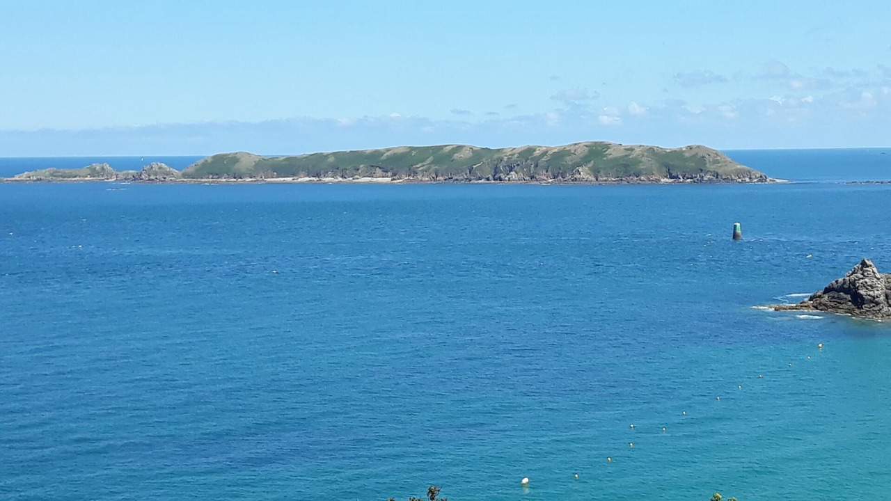 Photo of Others in Cite