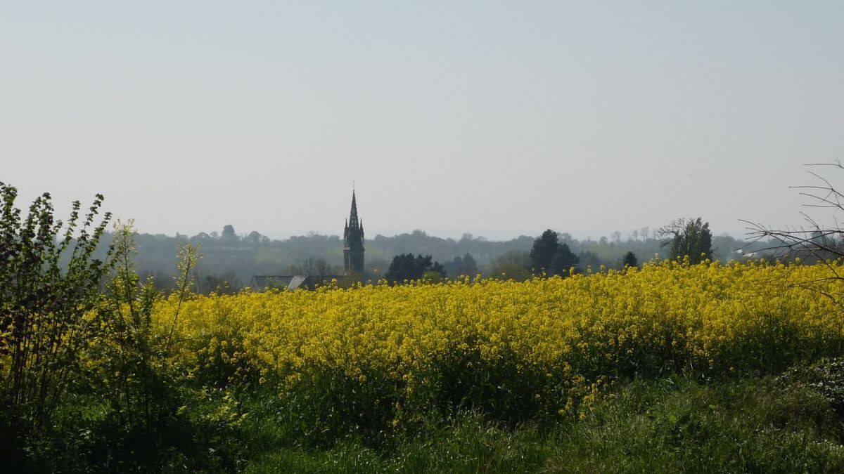 Photo of Outdoor in Pludual