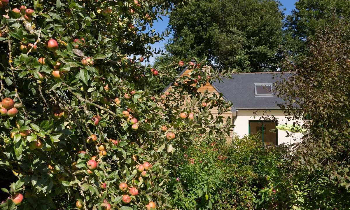 Photo of Outdoor in Langoat