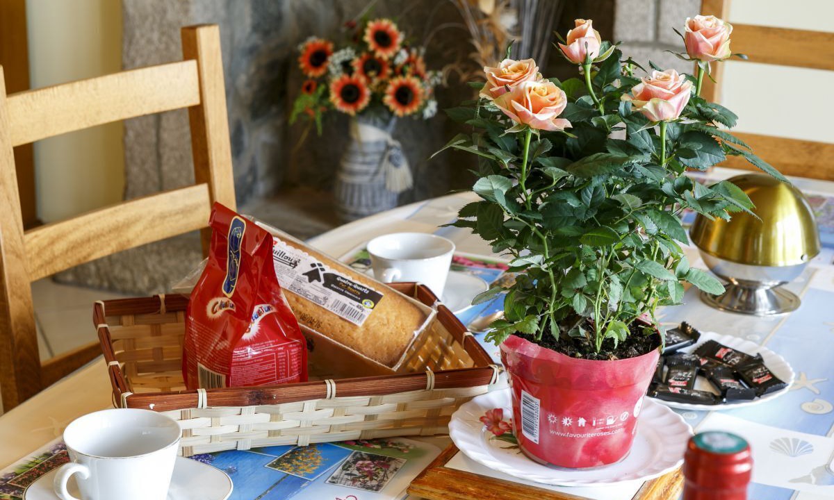 Photo of Others in Pleubian