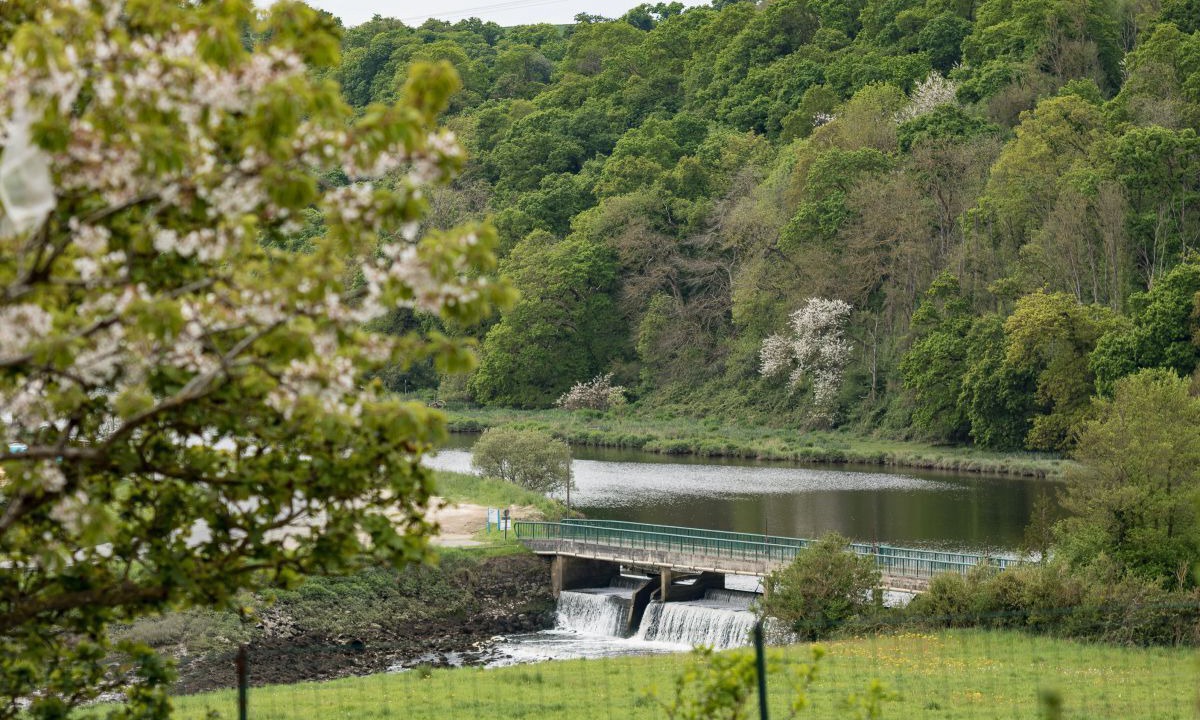 Photo of Others in Quemper-Guezennec