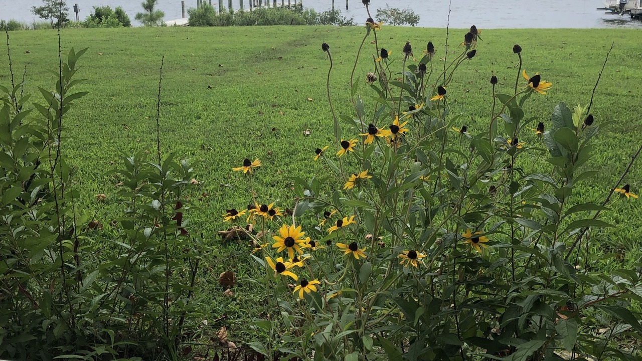 Photo of Others in Wicomico Church