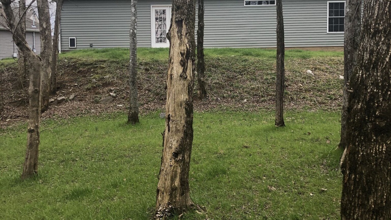 Photo of Outdoor in Murfreesboro