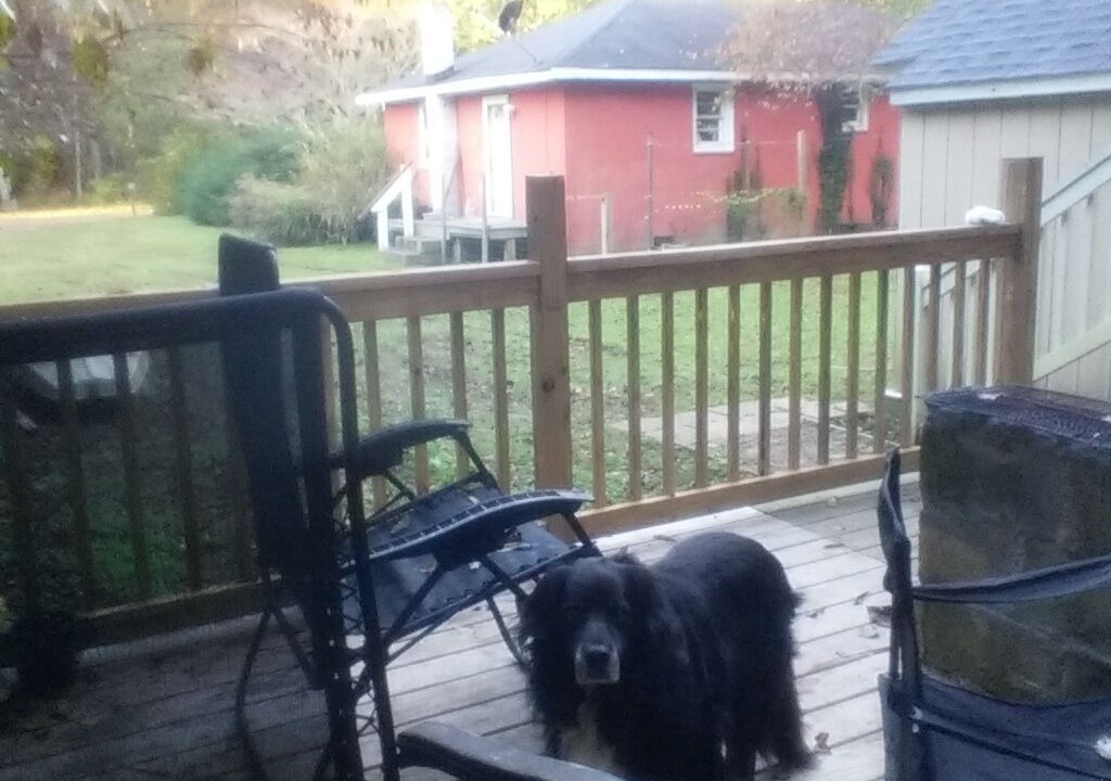 Photo of Patio Balcony in Jamesville