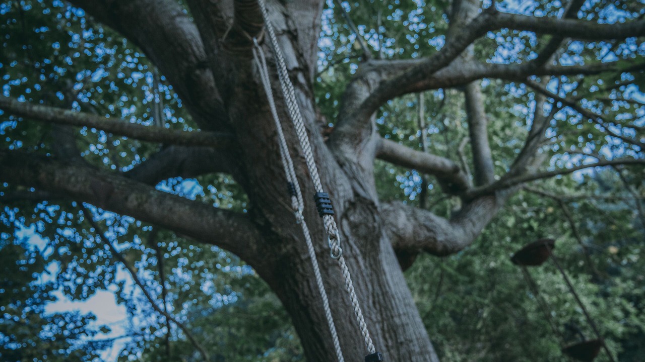Photo of Outdoor in Caldes d'Estrac
