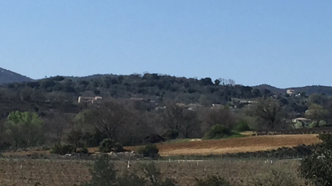 Photo of Others in Bessas