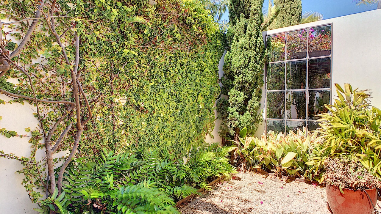 Photo of Outdoor in Mar de Cristal