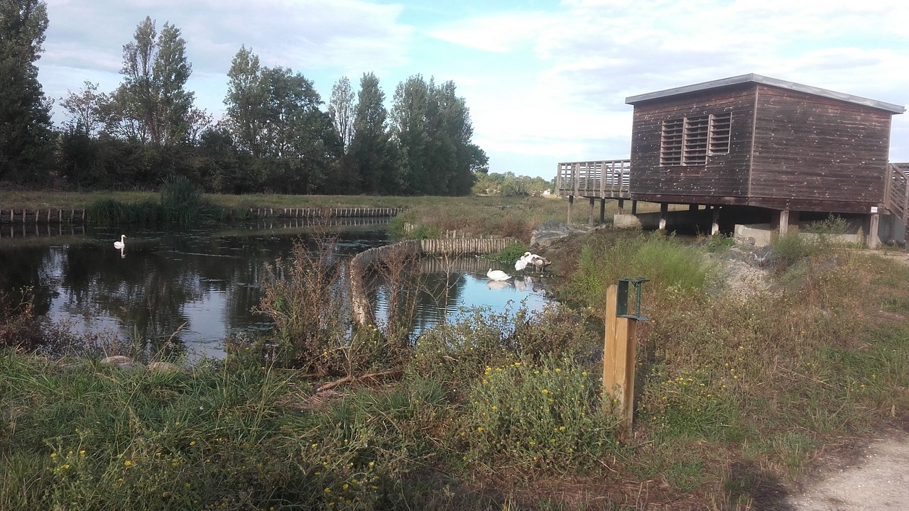 Photo of Outdoor in Nieul-sur-Mer