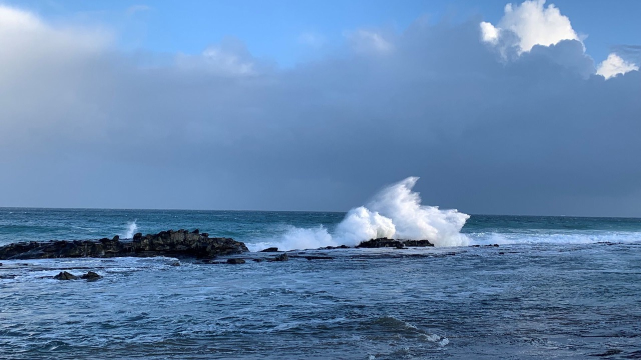 Photo of Others in Skenes Creek