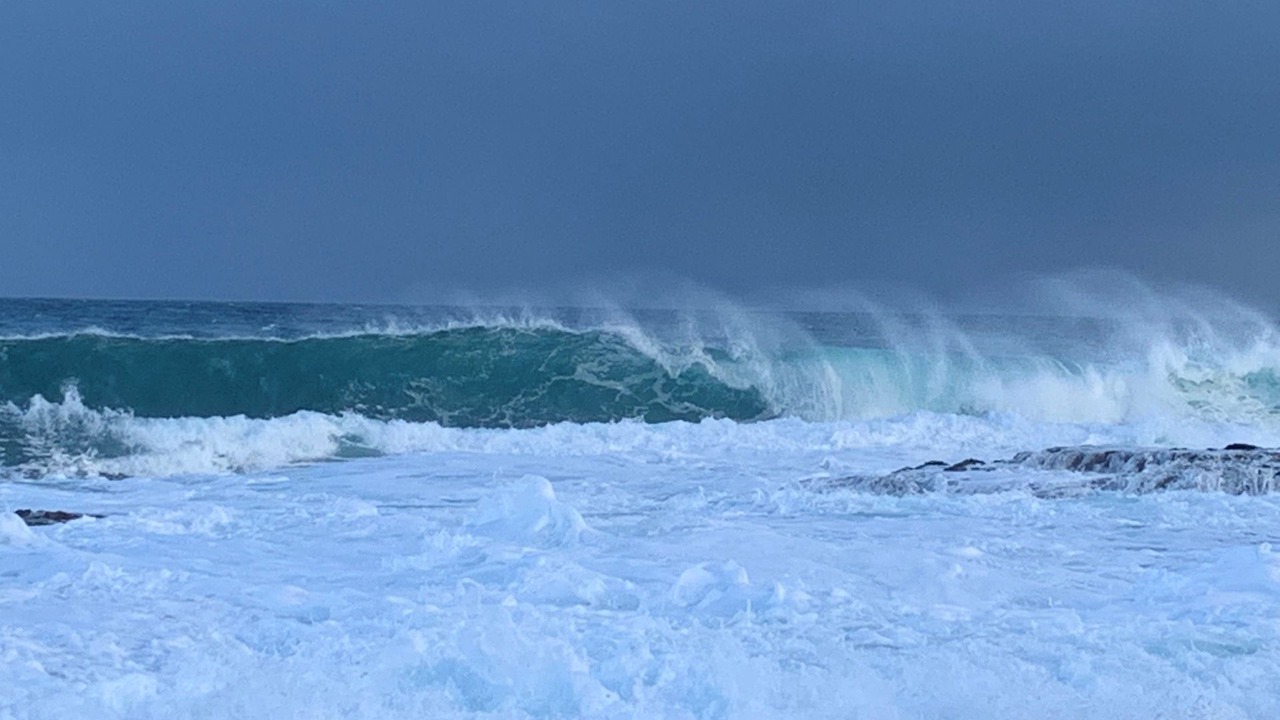 Photo of Others in Skenes Creek