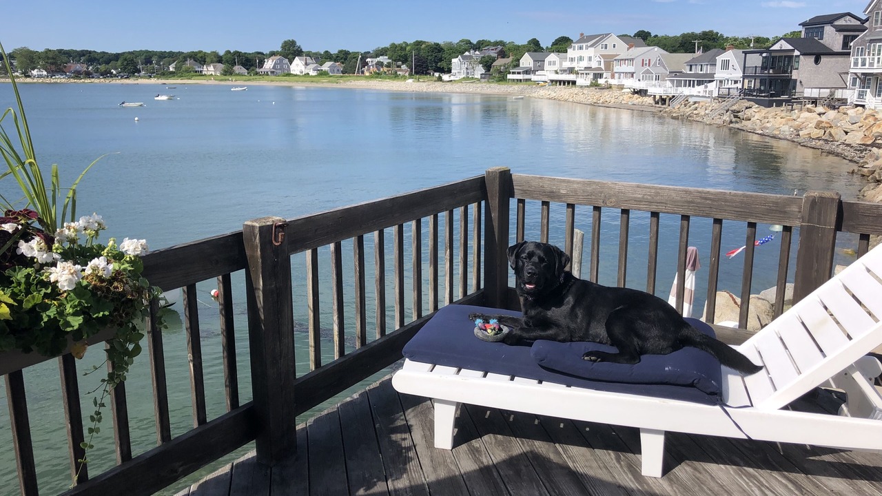 Photo of Outdoor in Scituate