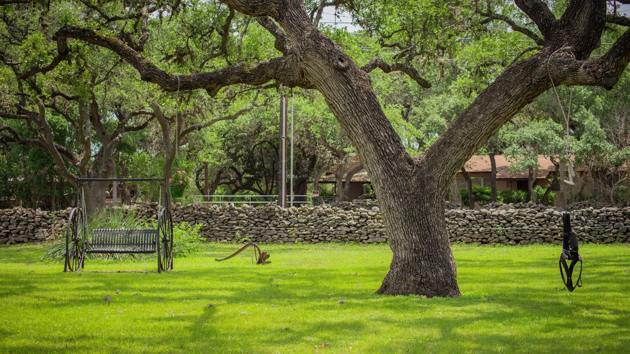 Photo of Outdoor in New Braunfels