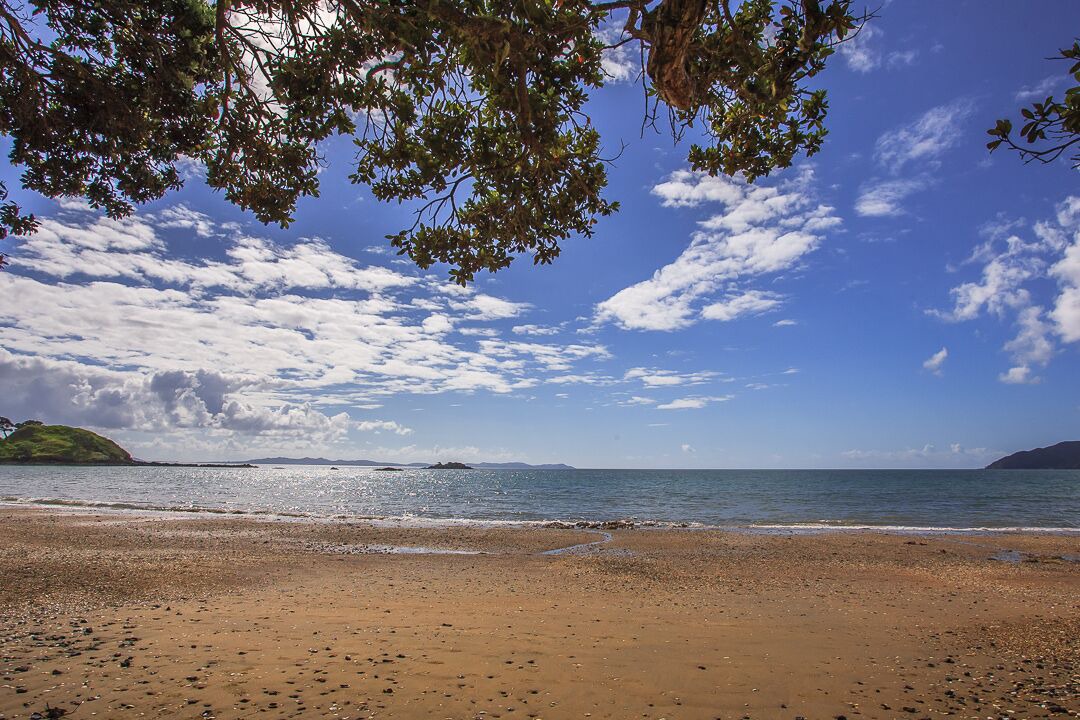 Photo of Others in Coopers Beach