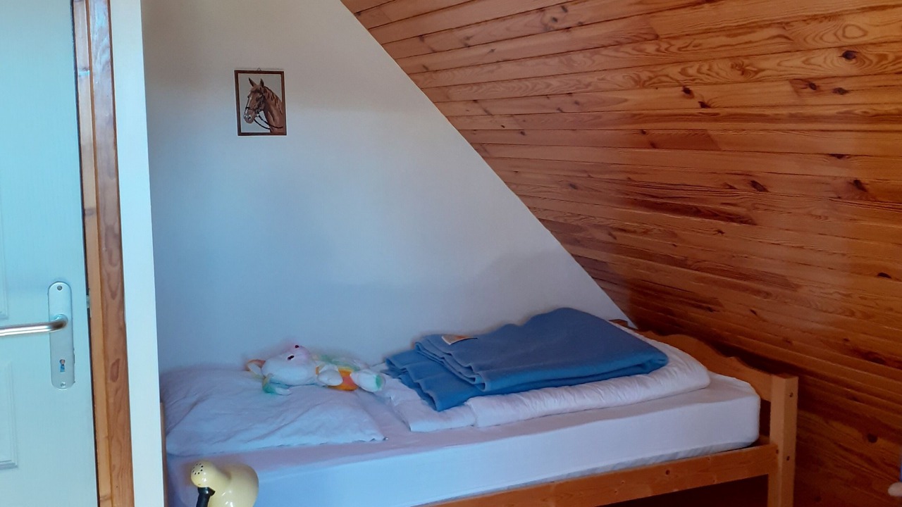 Photo of Bedroom in Chambon-sur-Lac