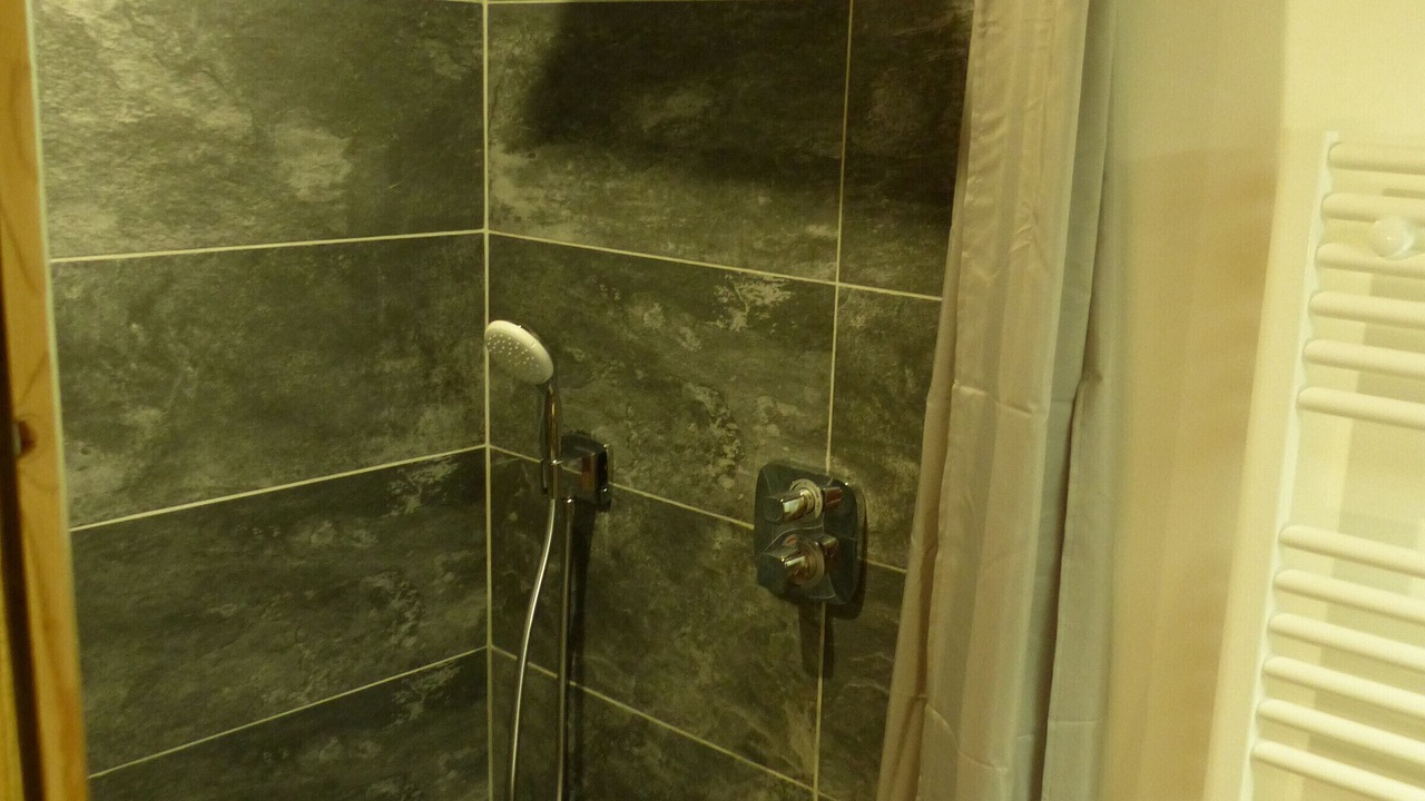Photo of Bathroom in Le Chinaillon