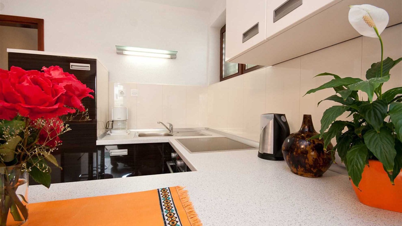 Photo of Kitchen in Baska