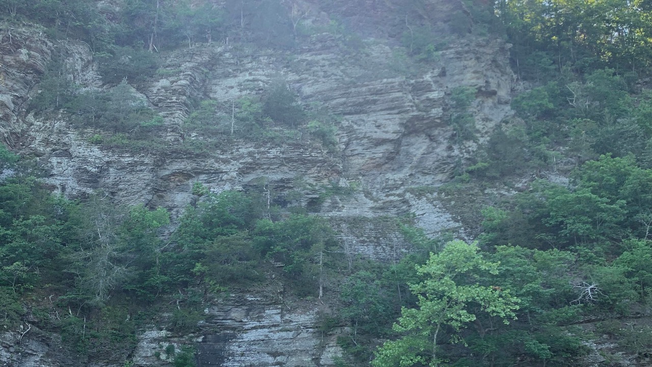 Photo of Others in Covington