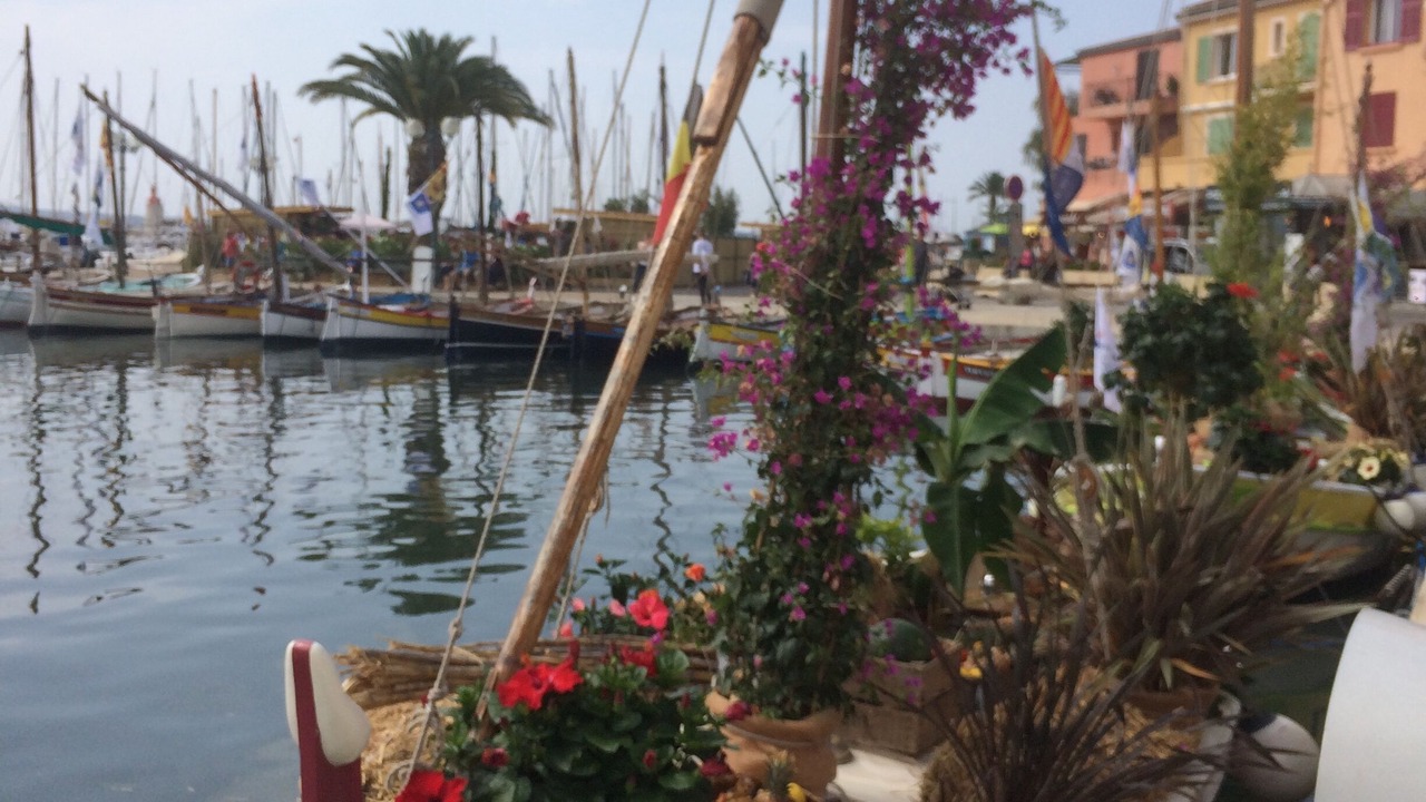 Photo of Others in Sanary-sur-Mer