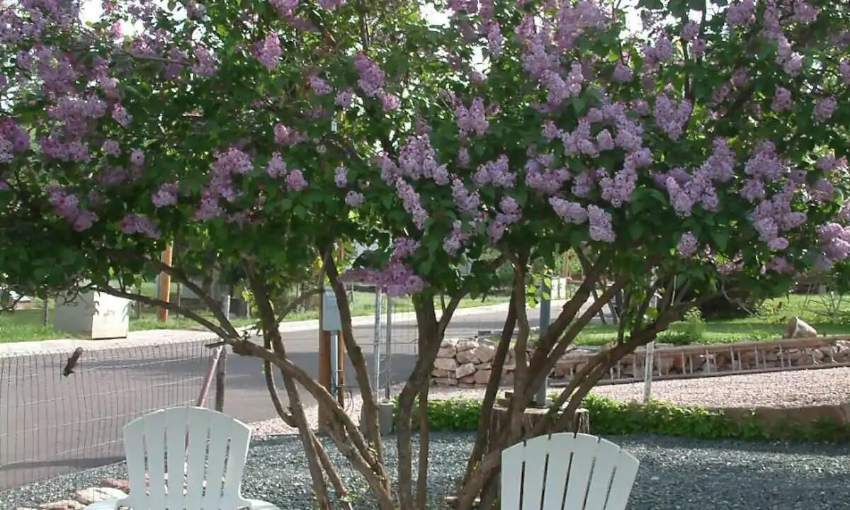 Photo of Outdoor in Hartville