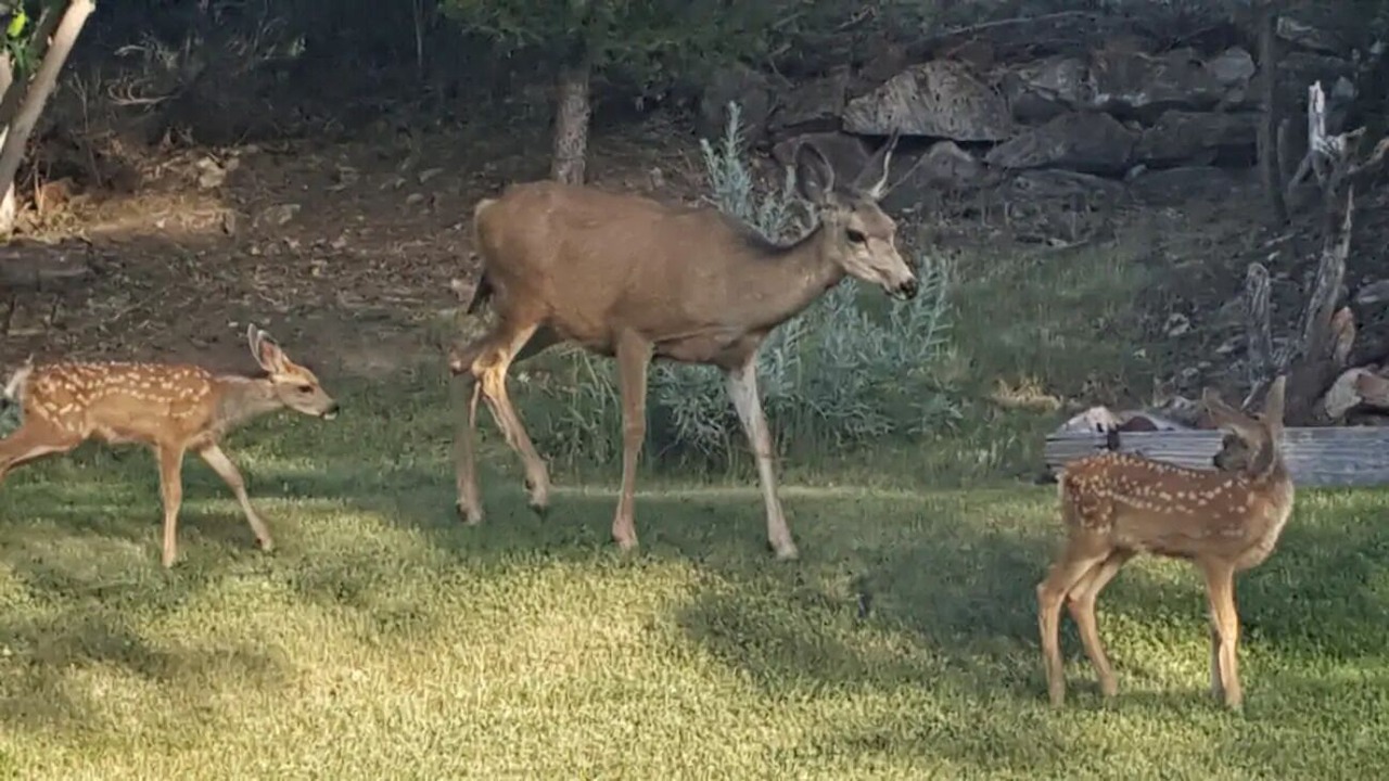 Photo of Outdoor in Hartville
