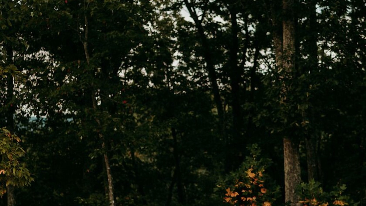 Photo of Others in Greenville