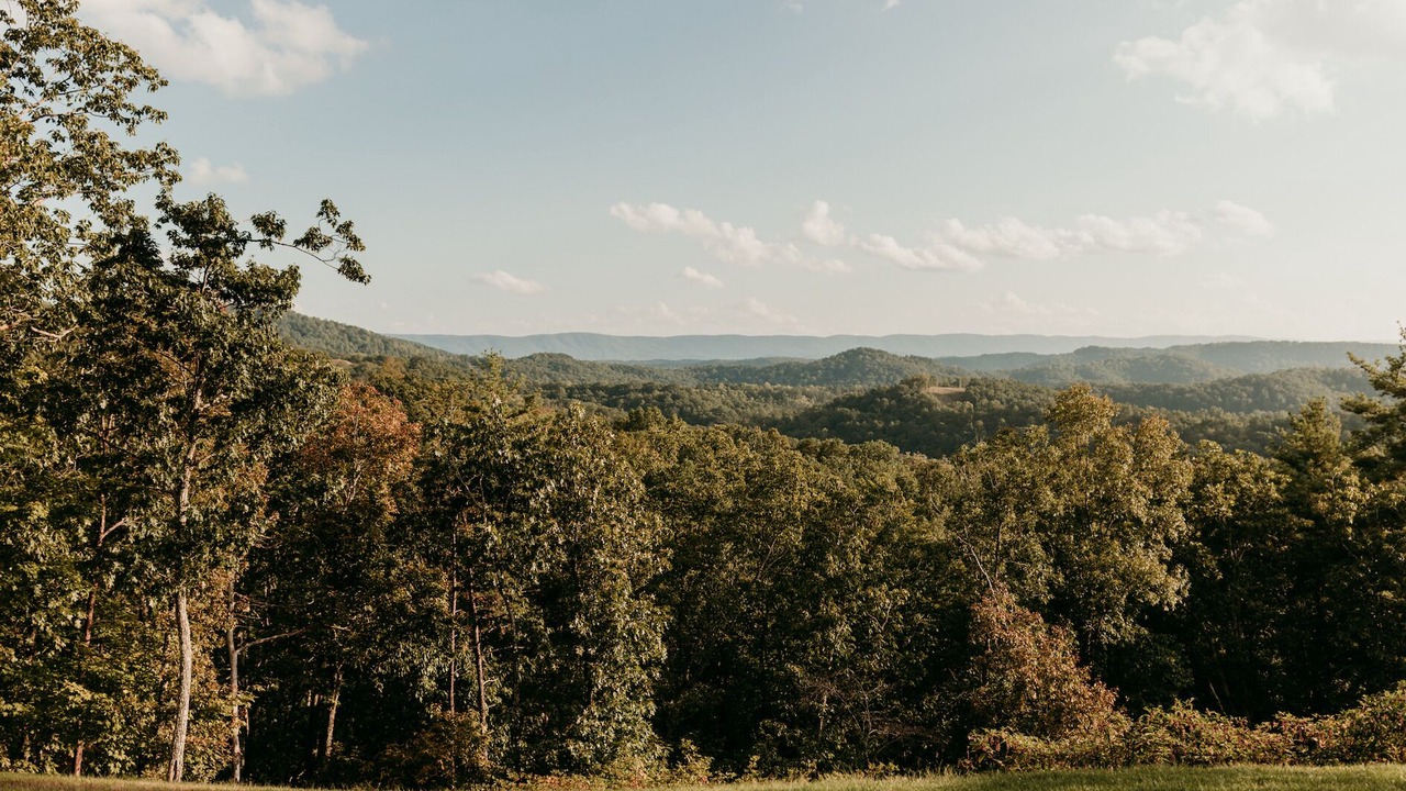 Photo of Others in Greenville