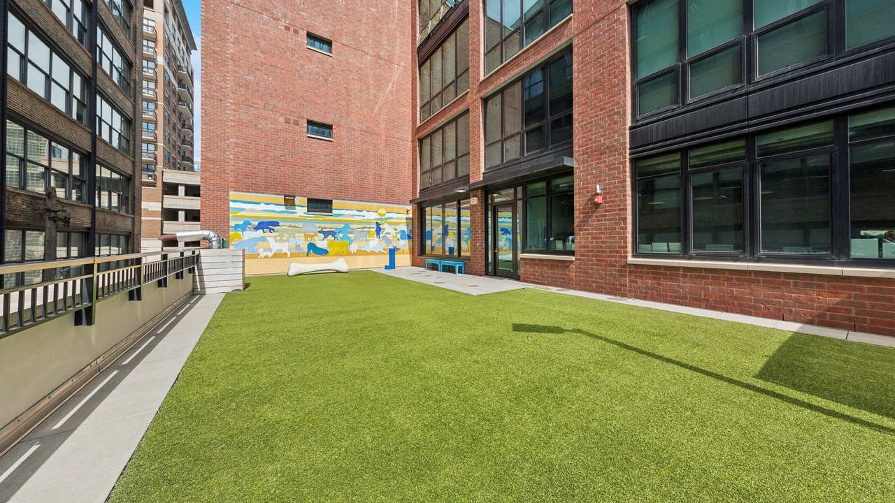 Photo of Outdoor in Near North Side