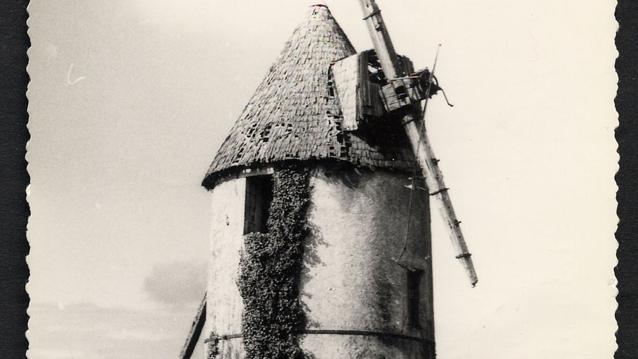 Photo of Others in Saint-Cyr-des-Gats