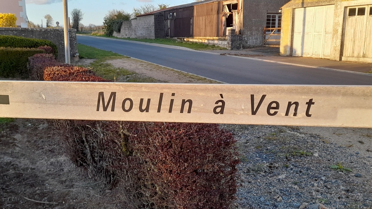Photo of Outdoor in Saint-Cyr-des-Gats