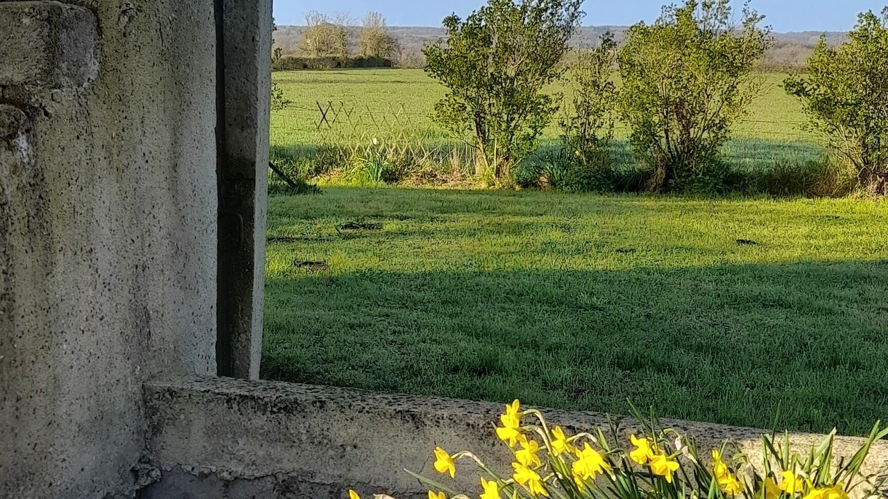Photo of Outdoor in Saint-Cyr-des-Gats
