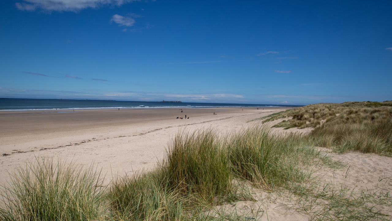 Photo of Others in Swarland