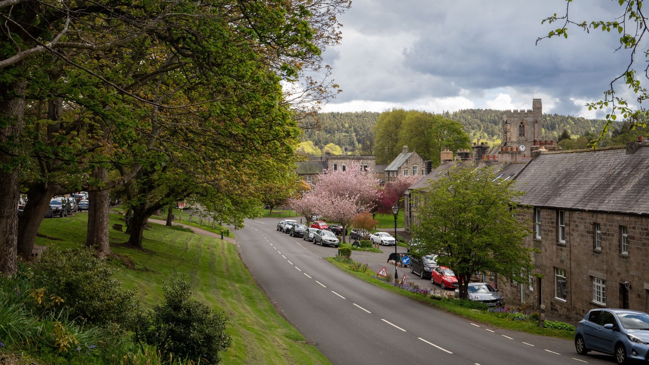 Photo of Others in Swarland