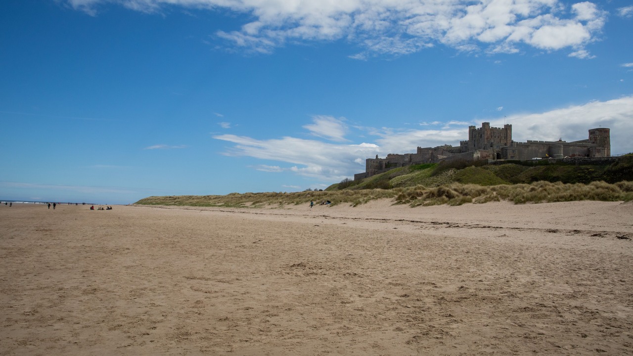 Photo of Others in Swarland