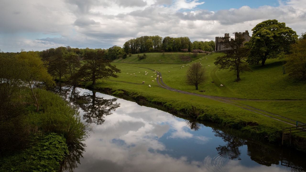 Photo of Others in Swarland