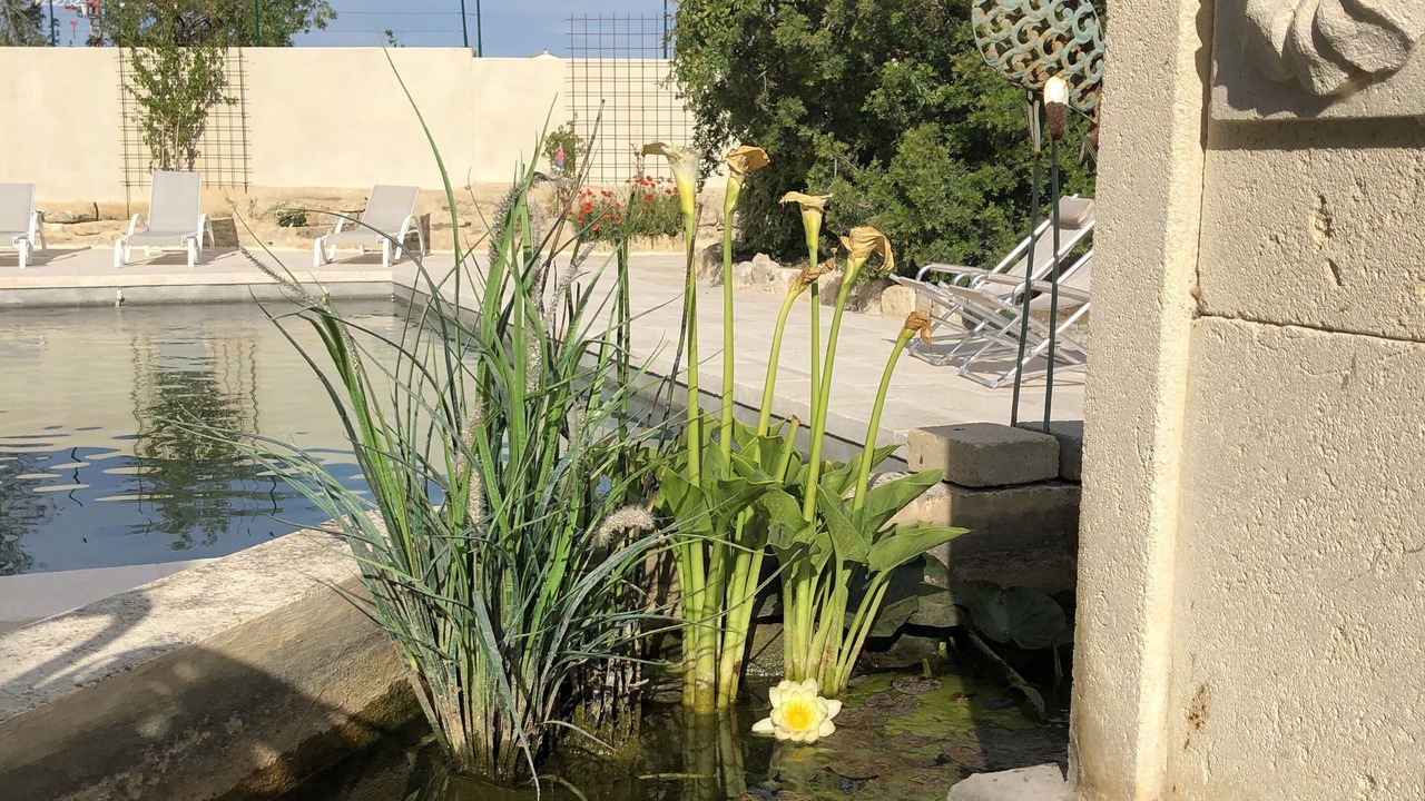 Photo of Outdoor in Pignan
