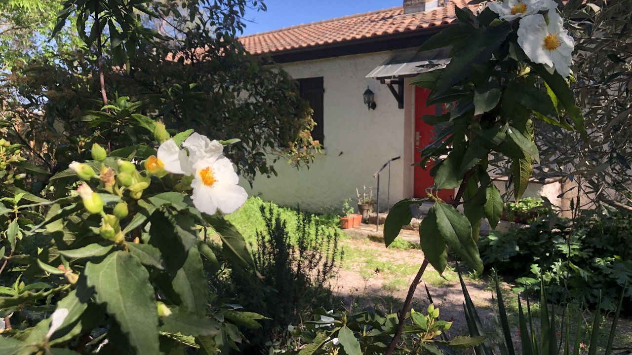 Photo of Outdoor in Pignan