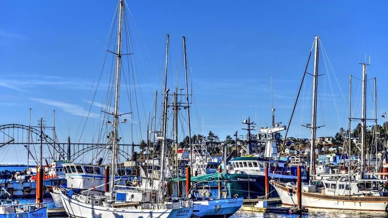 Photo of Others in Historic Bayfront