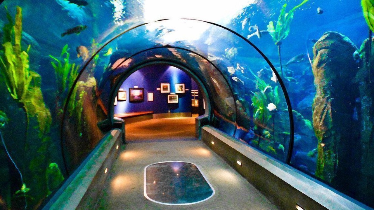 Photo of Others in Historic Bayfront