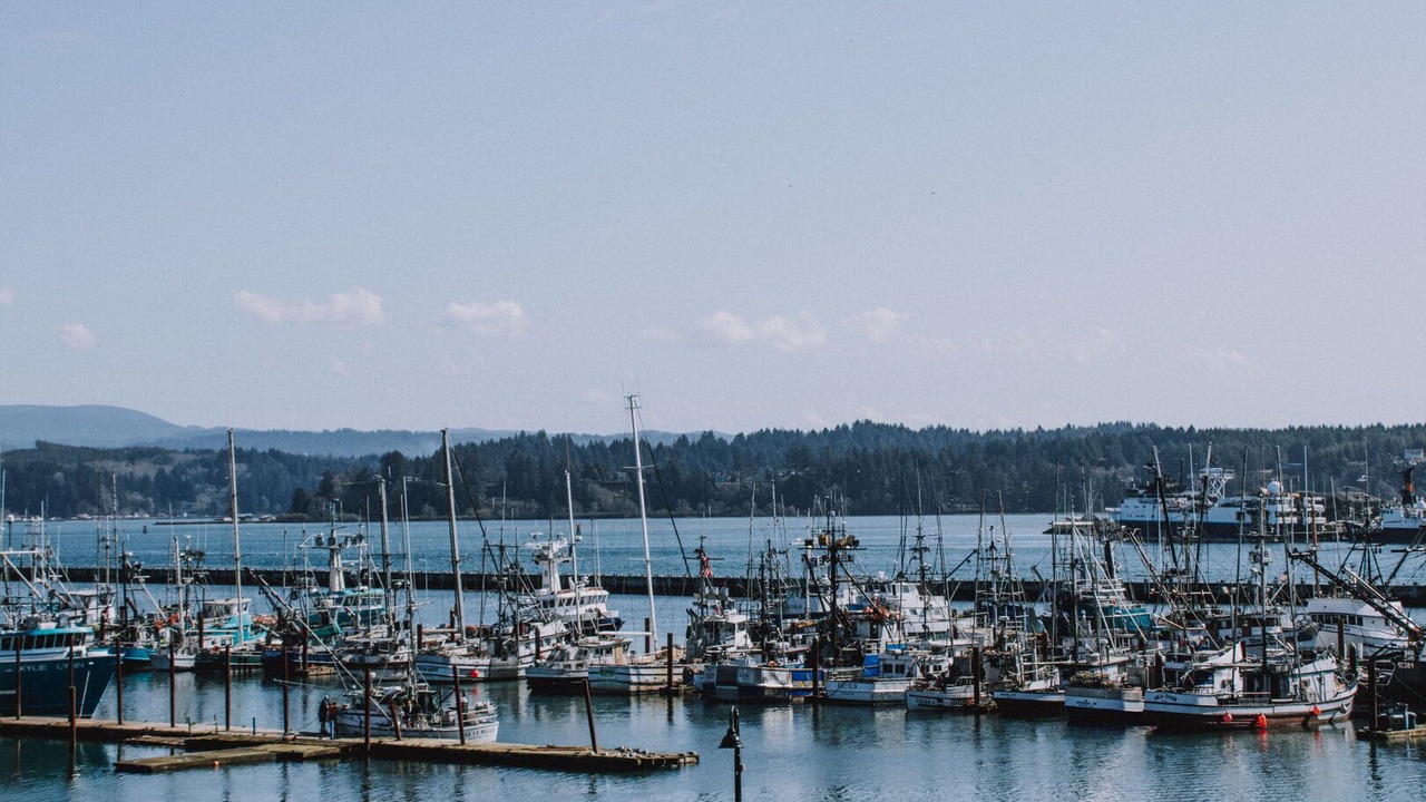 Photo of Others in Historic Bayfront