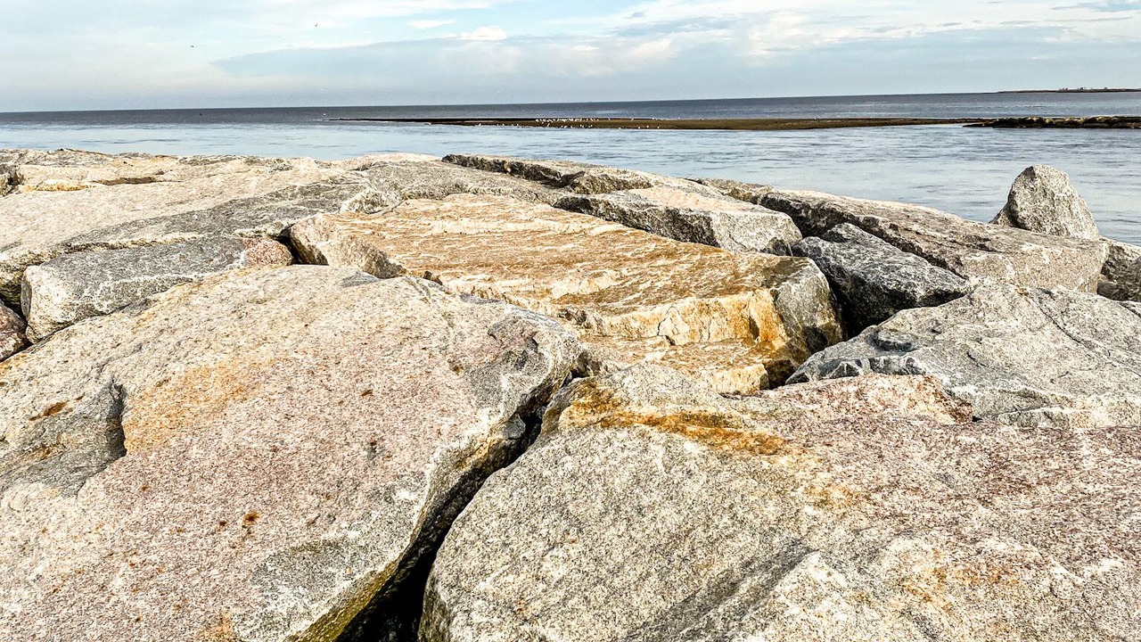 Photo of Others in Bowers Beach