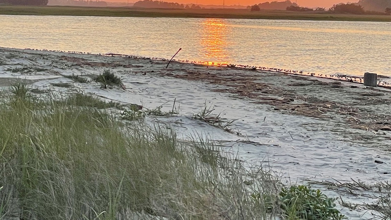 Photo of Others in Bowers Beach
